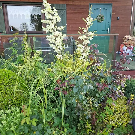 Jaktstuga Grabowka *