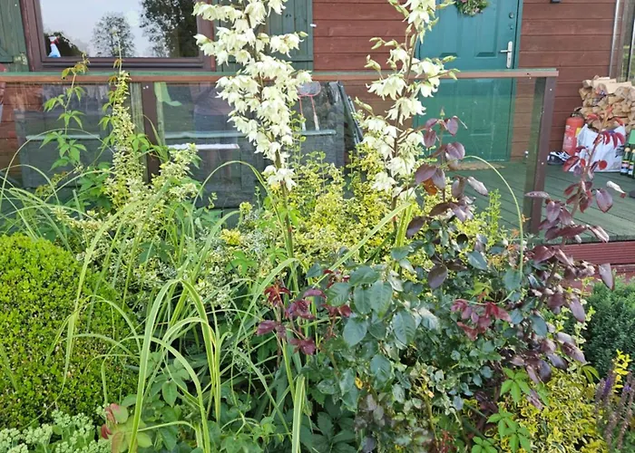 بيت خشبي Grabowka *